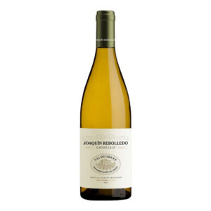 JOAQUÍN REBOLLEDO GODELLO 2020